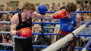 Brilliant Beer wins Western Counties belt in thrilling night for Bideford boxing
