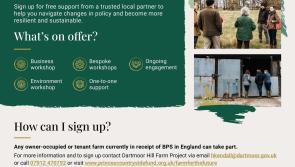 Free support for Dartmoor farmers to navigate the agricultural policy changes