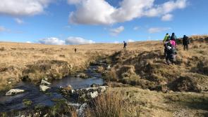 Dartmoor camping campaigners urge nationwide wild-camps to protest lack of nature-access rights