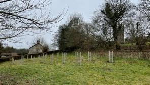 Devon parish planting 40 trees for new community orchard