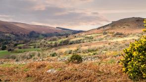 MP introduces Bill to allow enhanced access to Dartmoor National Park