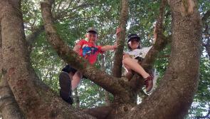 The Wildlife Trusts’ big nature challenge, 30 Days Wild, is back