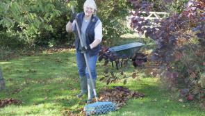 Gardening on the Moor with Anne Swithinbank: November in the Garden