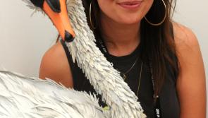 Thousands attend Contemporary Craft Festival