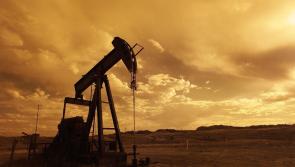 Green Issues: One small step for the Earth…