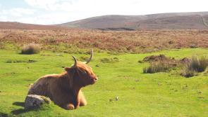 Funding for farmers confirmed