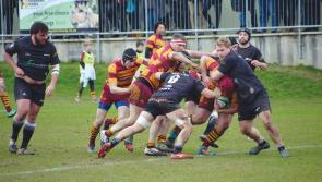 Okes felled by All Blacks