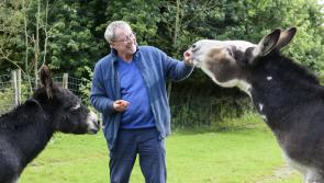 Bergerac reboot hits screens with new twist, but old fans are divided