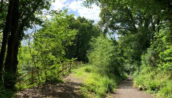 The Wray Valley Trail from Bovey Tracey to Hawkmoor Halt