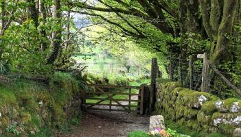 A Christmas ghost story