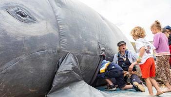 Seafest set to make a splash in Plymouth this September