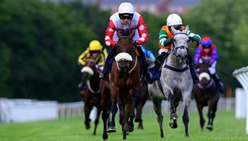 Newton Abbot Races. Pic from PPAUK