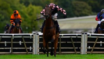 Prince Zaltar races to victory. Pic from PPAUK