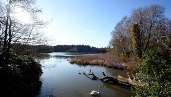 Stover Country Park