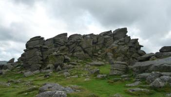 Dartmoor residents call for action on nature, farming and access in National Park survey