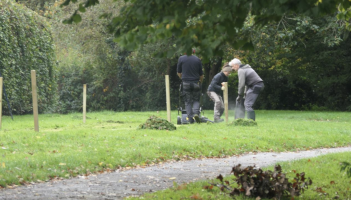 Creation of mini meadow in Ivybridge Credit- South Hams District Council