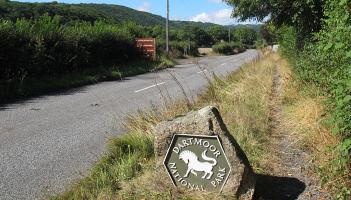 Devon emissions fall again as Dartmoor projects help drive countywide carbon cuts