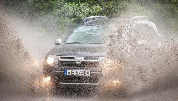 (Photo courtesy of: wydawca from Pixabay)