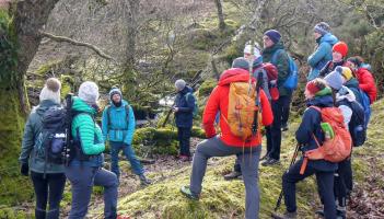 Mental health charity urges people to plan now for a re-set after festive stress