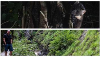 Dan Bagur, author and a Pine Marten (Copyright Dan Bagur)