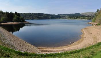 Devon feels impact as UK records hottest and sunniest year ever Image- Nilfanion