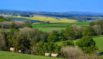 Devon residents invited to shape future of local government in county-wide consultation
