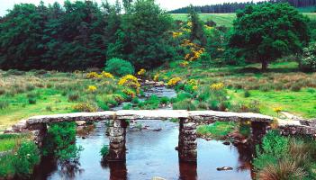 Devon Cabinet to consider mounting pressures on rural and coastal communities