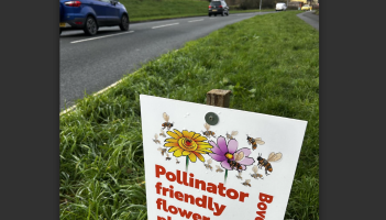 Greener roadside verges for Bovey Tracey
