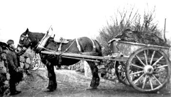 A prisoner with a cart-full of peat