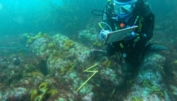 Diver recording cannon on a historic shipwreck &copy; Wessex Archaeology