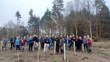 New woodland unveiled at Devon park after major three-year restoration