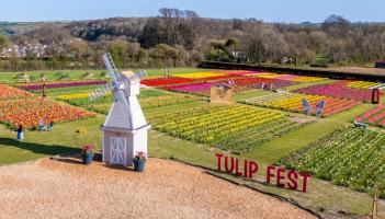 Visitors invited to explore large-scale displays, photo installations and seasonal entertainment (Image- Strawberry Fields)