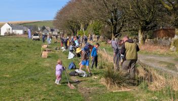 Planting in Princetown