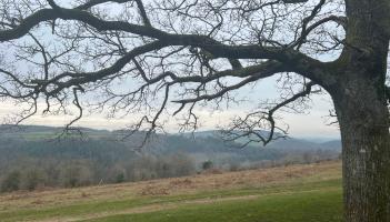 Experts select Dartmoor as one of the South West&rsquo;s standout areas (Image- Jamie Townsend)