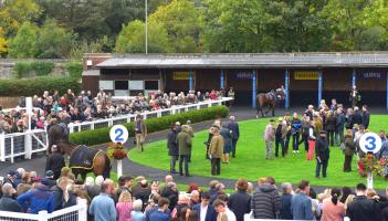 The Paddock at Newton Races. Pic from PPAUK