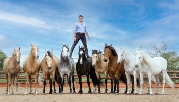 Ben Atkinson and his  Action Horses