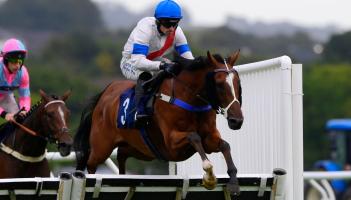 Newton Abbot Races. Pic from PPAUK