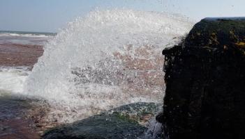 Waste water outlet at Goodrington (Image courtesy: Guy Henderson) 