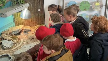 School trip to Dartmoor Zoo gave Lamerton children hands-on learning with animals and habitats