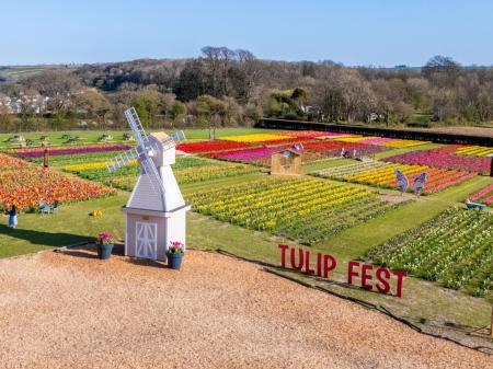 Visitors invited to explore large-scale displays, photo installations and seasonal entertainment (Image- Strawberry Fields)