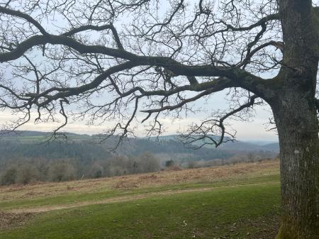 Experts select Dartmoor as one of the South West&rsquo;s standout areas (Image- Jamie Townsend)