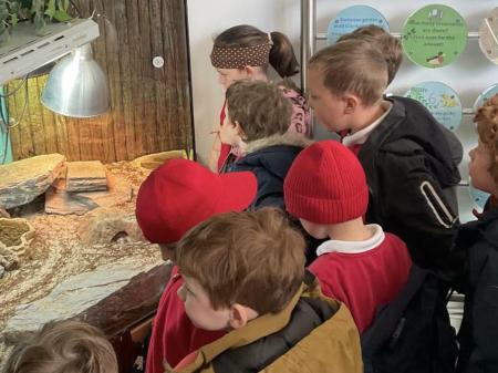 School trip to Dartmoor Zoo gave Lamerton children hands-on learning with animals and habitats