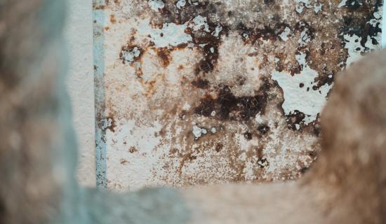 West Devon Council launches new campaign to tackle rising damp and mould in homes