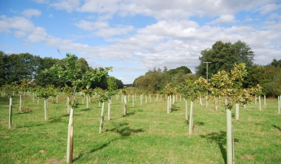 The project forms part of wider nature recovery work across the county Image- N Chadwick