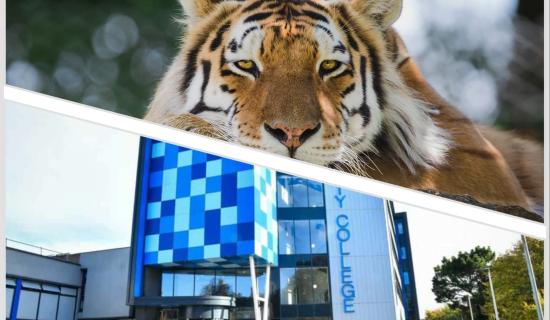 College staff and students to support Dartmoor Zoo through fundraising events and projects (Images- Dartmoor Zoo/City College Plymouth)