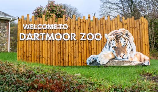 Record attendance at Dartmoor Zoo follows new ticketing changes and investment in facilities and habitats (Image- Kira Butters)