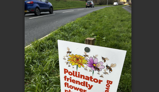 Greener roadside verges for Bovey Tracey