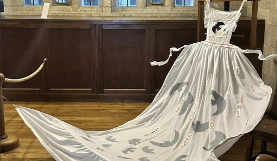 Herding Cats Arts Collective explores class, labour and resilience through art inspired by Devon&rsquo;s iconic landmark (Image- Sara Venner)