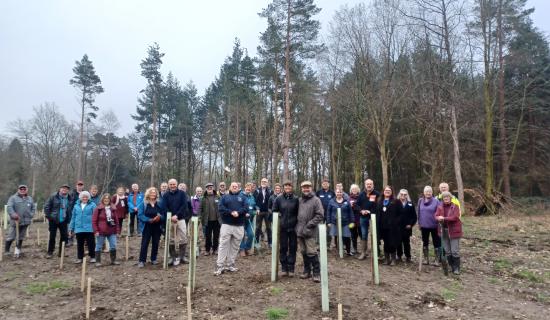 New woodland unveiled at Devon park after major three-year restoration