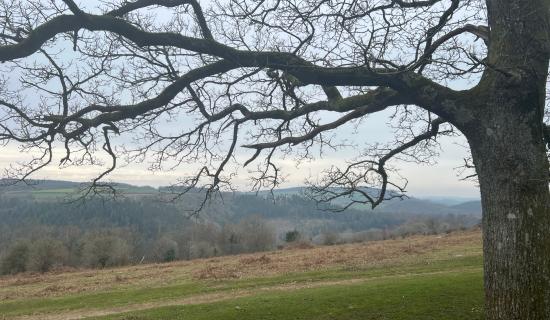 Experts select Dartmoor as one of the South West&rsquo;s standout areas (Image- Jamie Townsend)